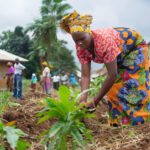 Empowering Women Through Trees